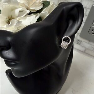 Chic Silver Loop Earrings